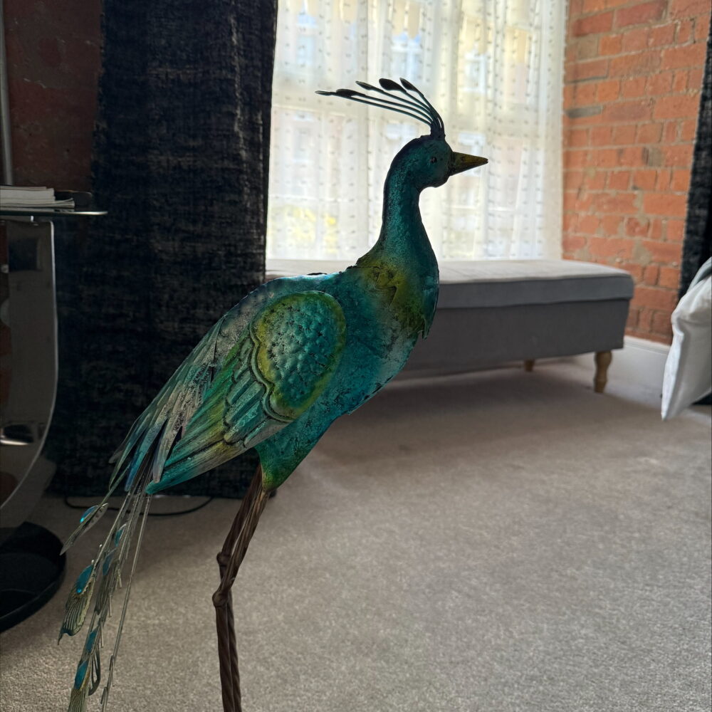 1 Cocoa-09 1 Cocoa-09