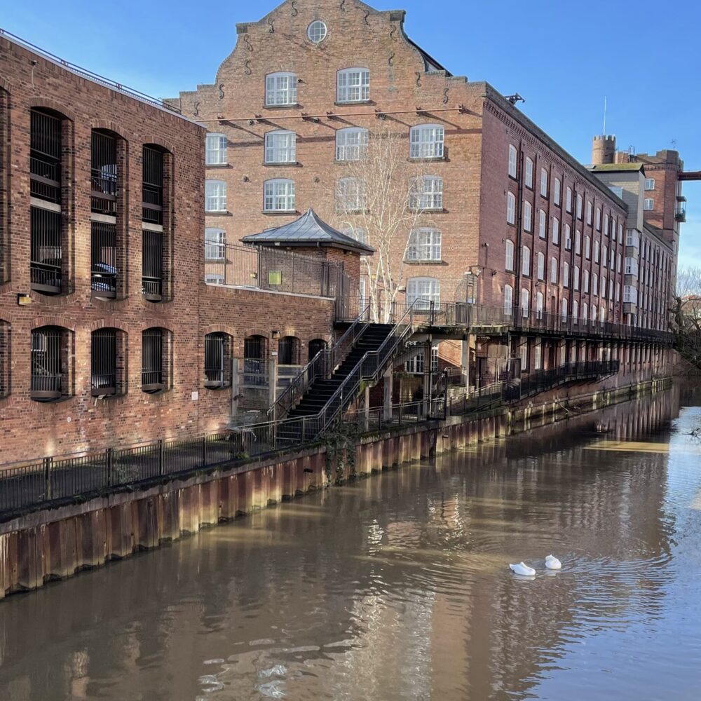 62A Cocoa-12 62A Cocoa-12